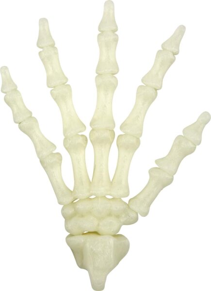 Skeletthand