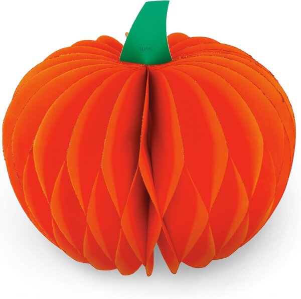 K&uuml;rbis mit Magnet