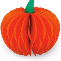 K&uuml;rbis mit Magnet