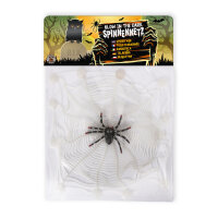 Spinnennetz mit Spinne, nachtleuchtend