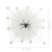 Spinnennetz mit Spinne, nachtleuchtend