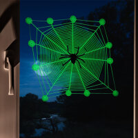 Spinnennetz mit Spinne, nachtleuchtend