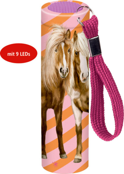 Taschenlampe Pferdefreunde