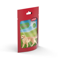 Golden Retriever H&uuml;ndin