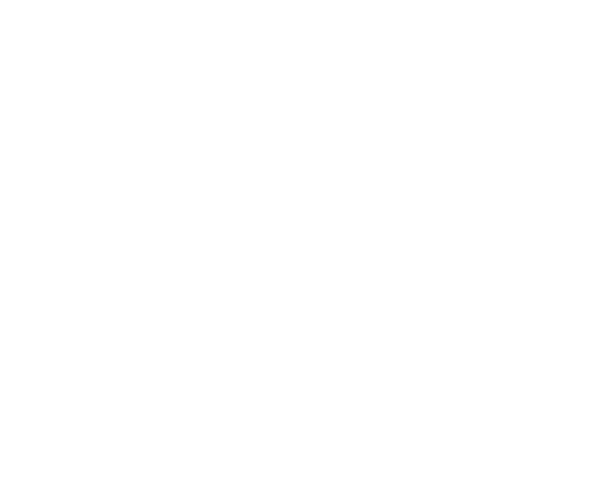 Creart Meeresfreunde