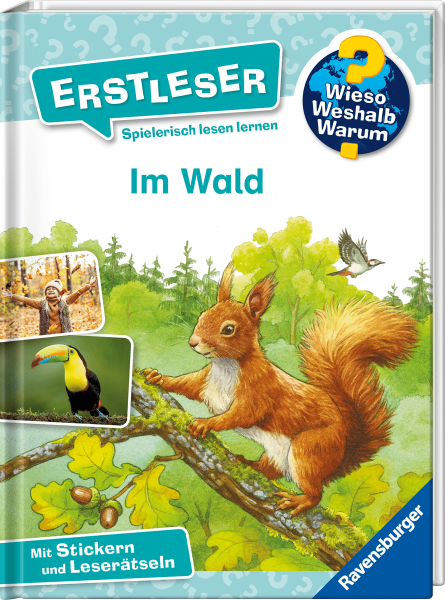 Im Wald Erstleser