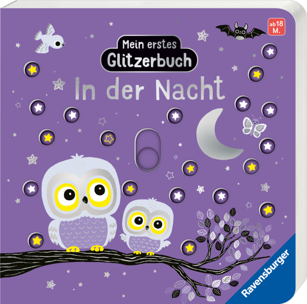 Mein erstes Glitzerbuch-In der Nacht