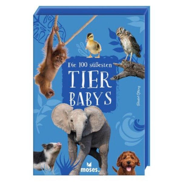 100 Tierbabys