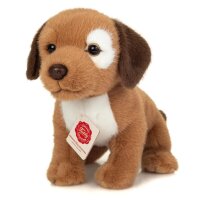 Hundewelpe Milow