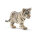 Weisser Baby Tiger