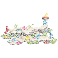 Gravitrax Junior Starter-Set XXL Paw Patrol