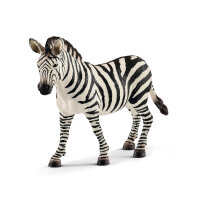 Zebrastute