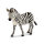 Zebrastute