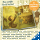 Der grösste Schatz der Welt