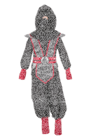 Ninja