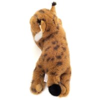 Luchs liegend