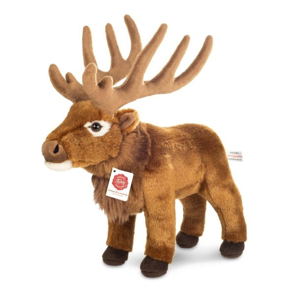 Hirsch