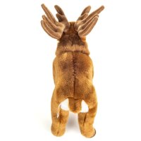 Hirsch
